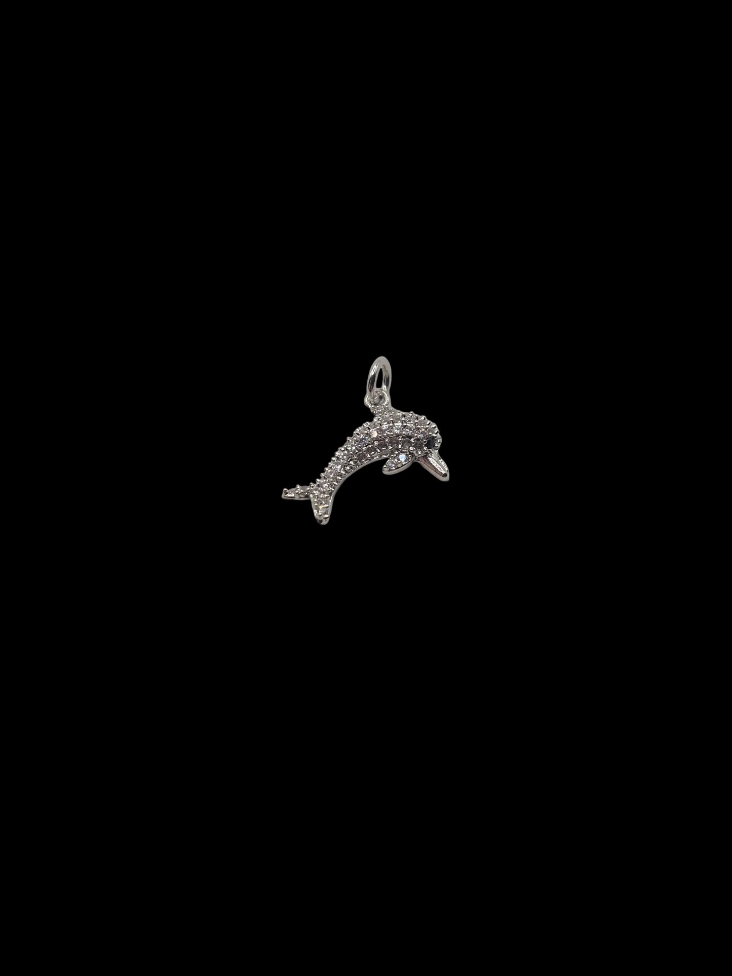 Dolphin Charm