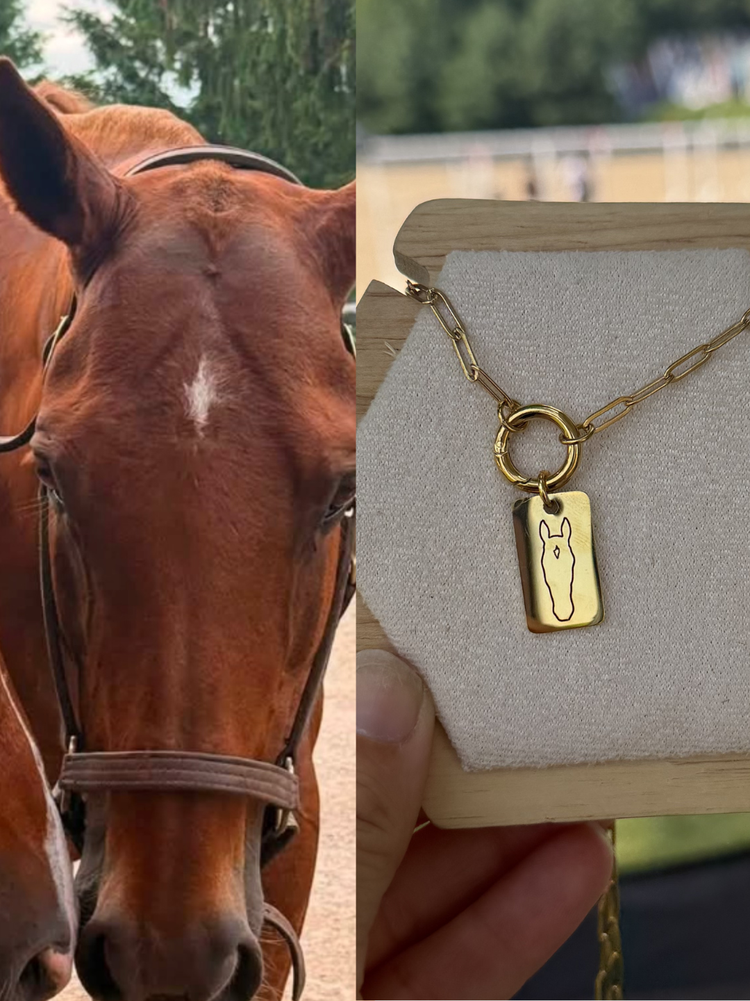Custom Horse-Marking Necklace