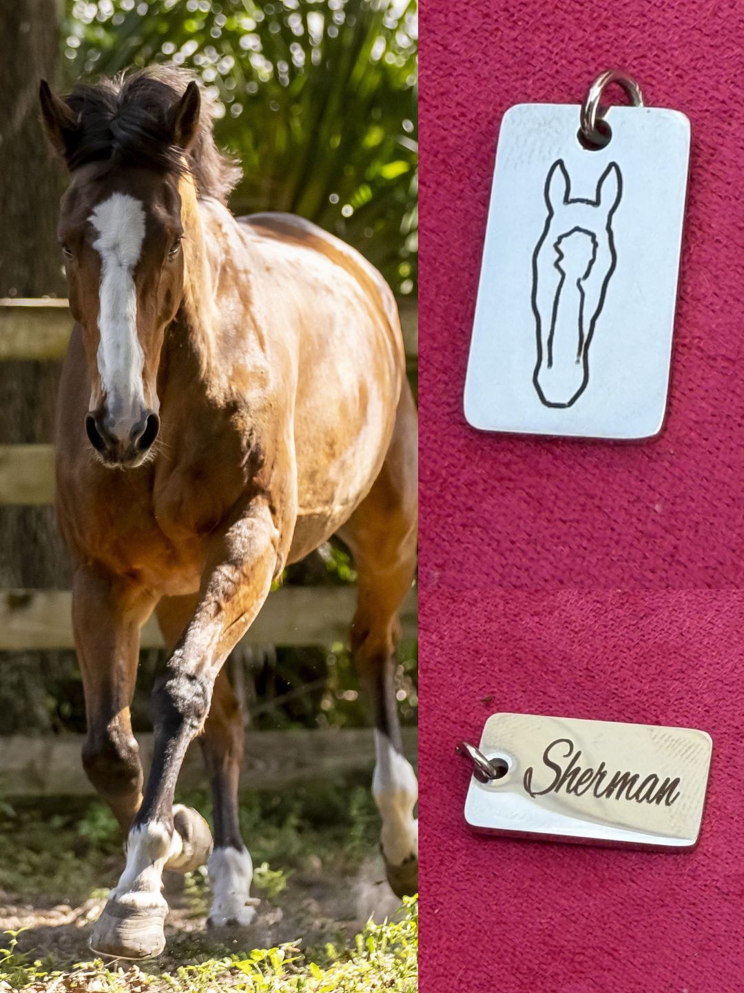 Custom Horse-Marking Necklace